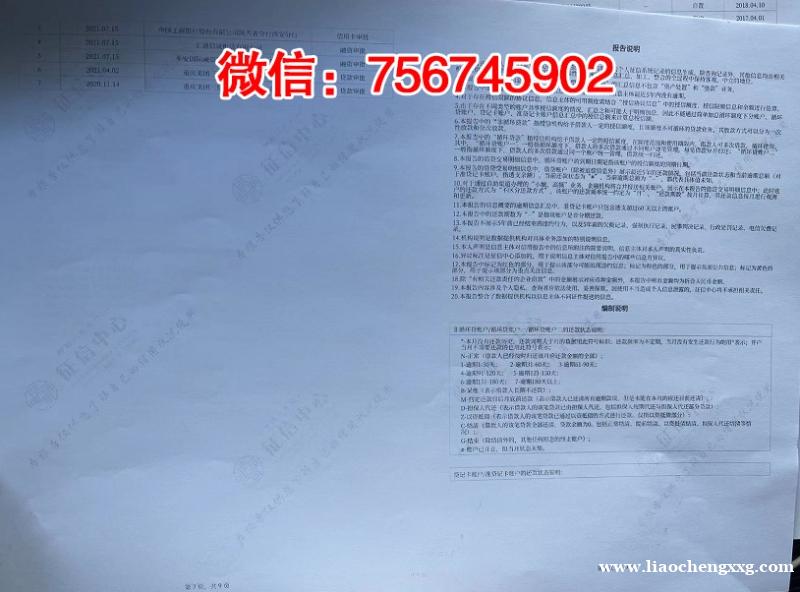 电子版征信报告入职检查逾期部分模板定制加密扫描件