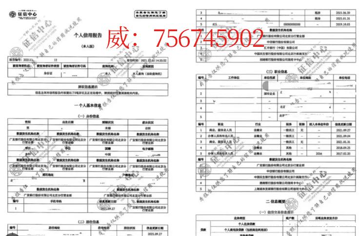 简版征信报告单位审查员工PS修改逾期部分电子档