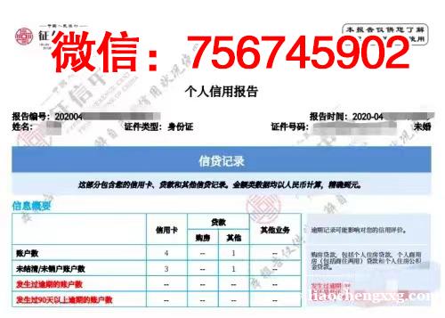 个人征信报告入职审查PS修改删除贷款快速处理扫描件